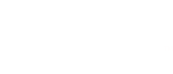 Vivani Logo